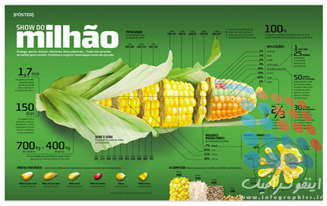 اینفوگرافیک ذرت