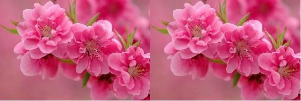  بهار و طب سنتی (راهکارهایی برای حفظ شادابی و نشاط در فصل بهار)